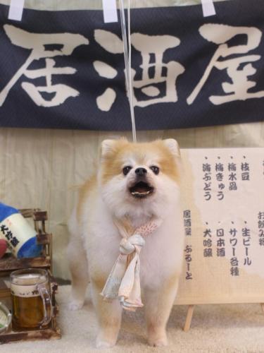 20240629モコくん